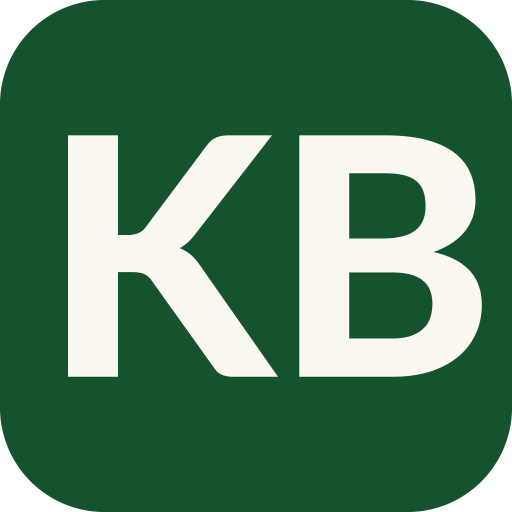 King Biz Advisors